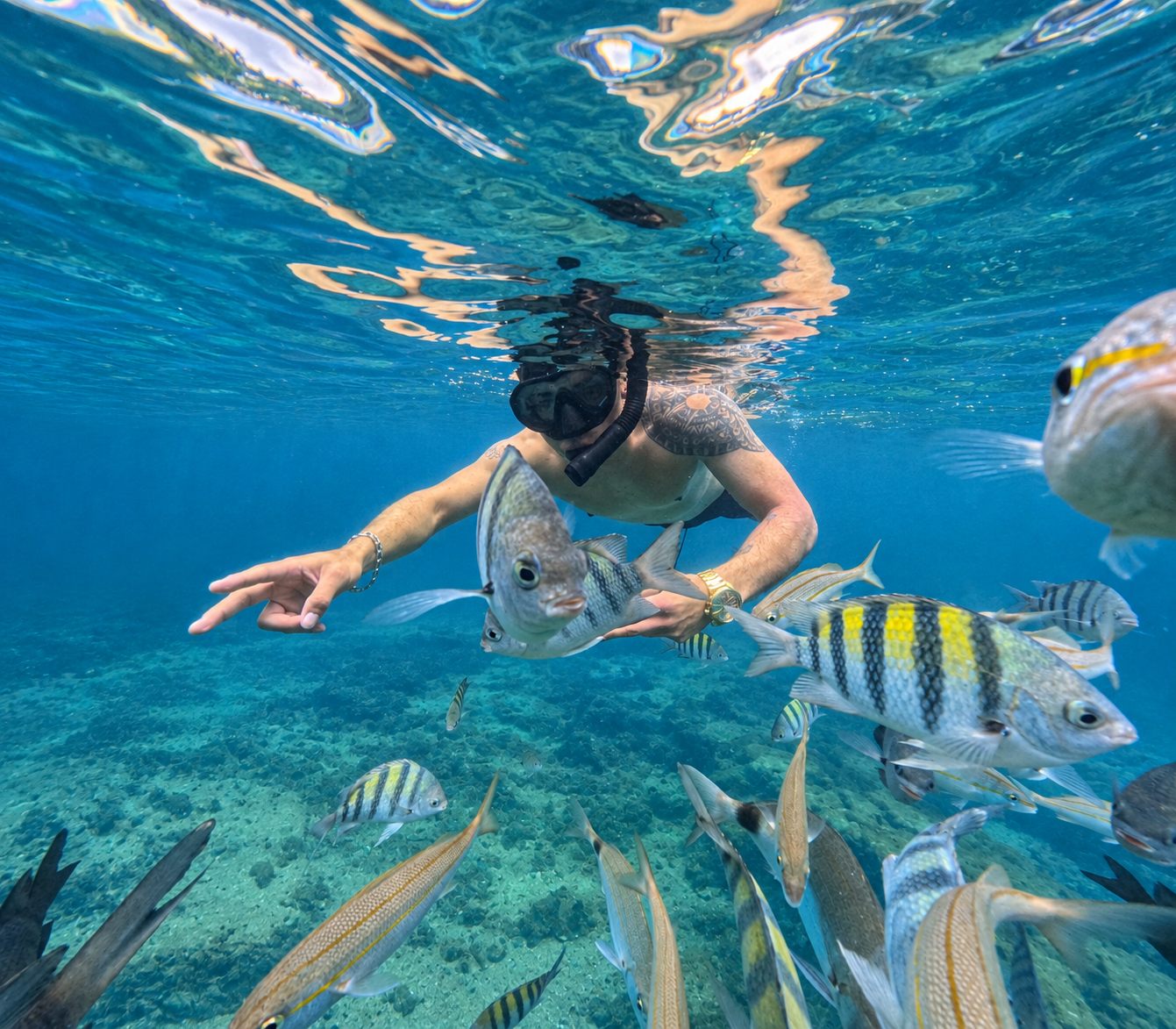 Snorkel entre peixes