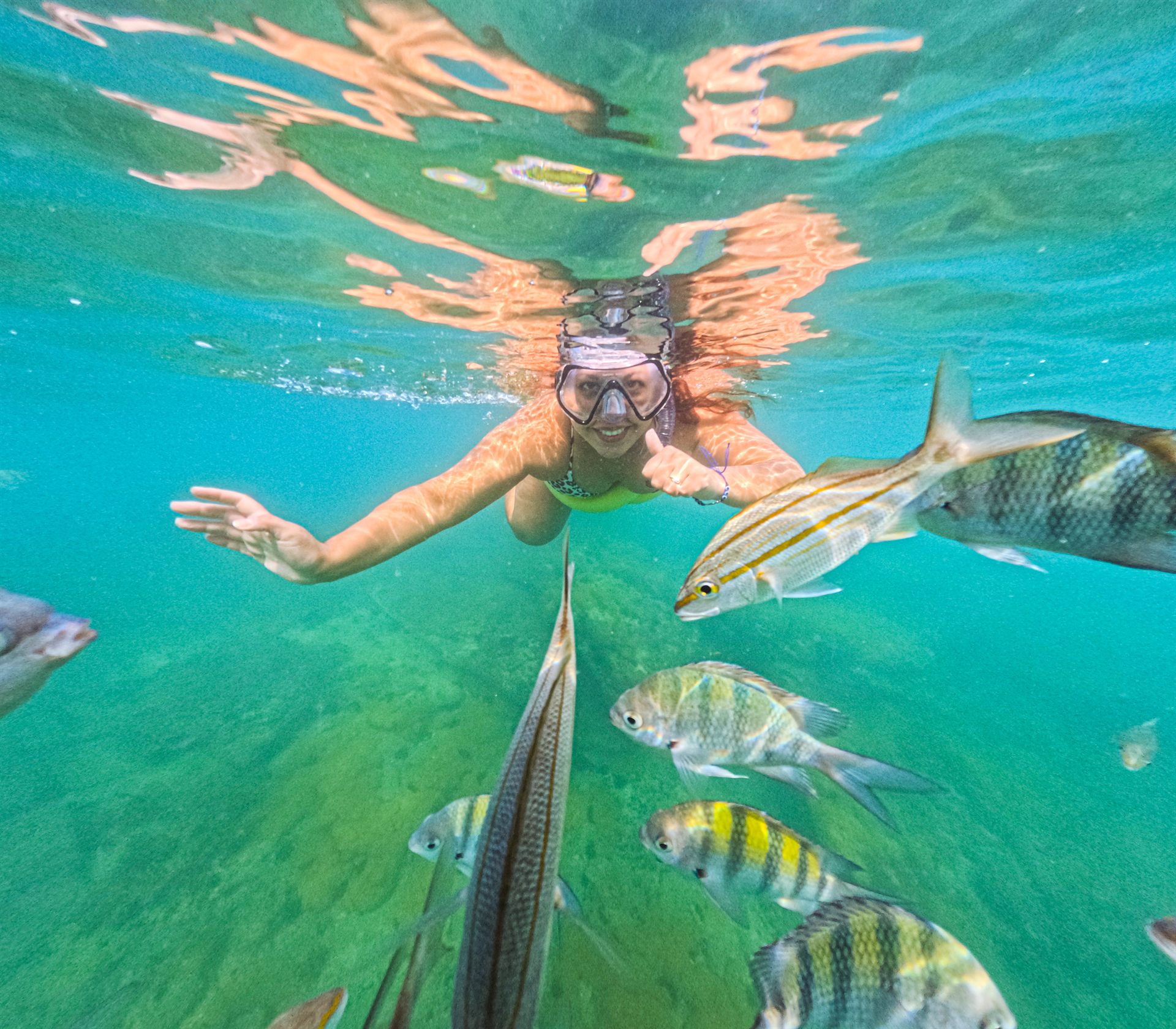 Snorkel com peixes