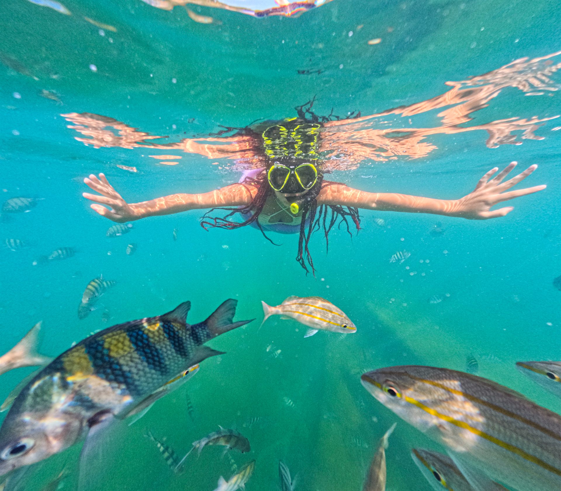 Snorkel entre peixes